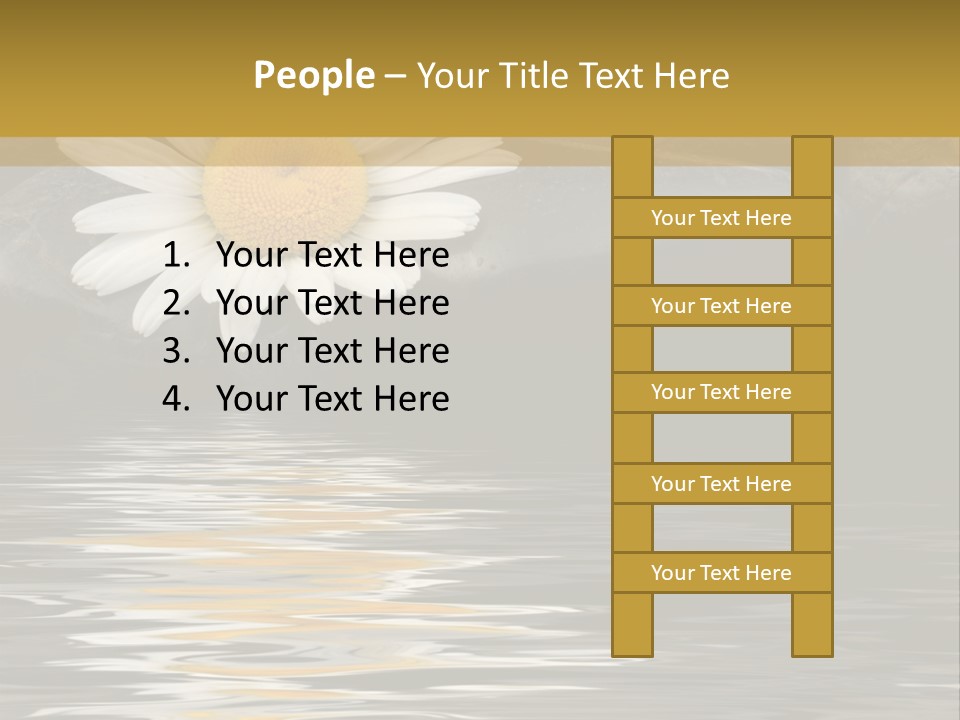 Daisy With Stones, Water Reflexion PowerPoint Template