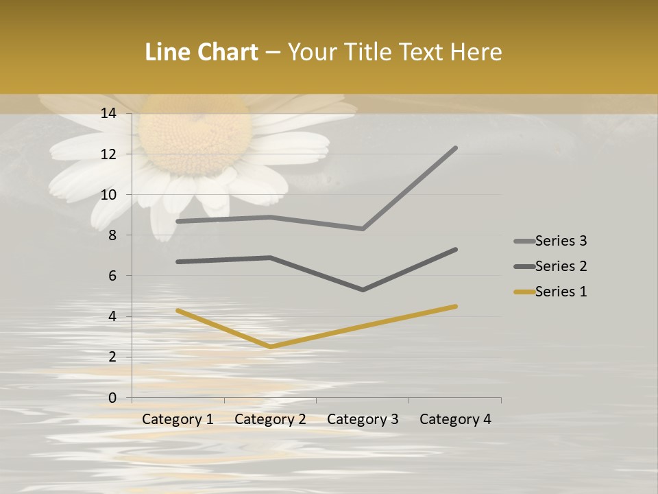 Daisy With Stones, Water Reflexion PowerPoint Template