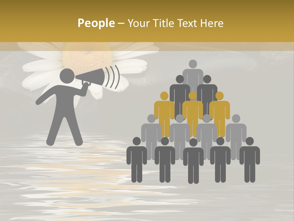 Daisy With Stones, Water Reflexion PowerPoint Template