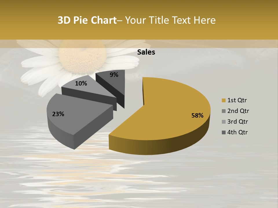 Daisy With Stones, Water Reflexion PowerPoint Template