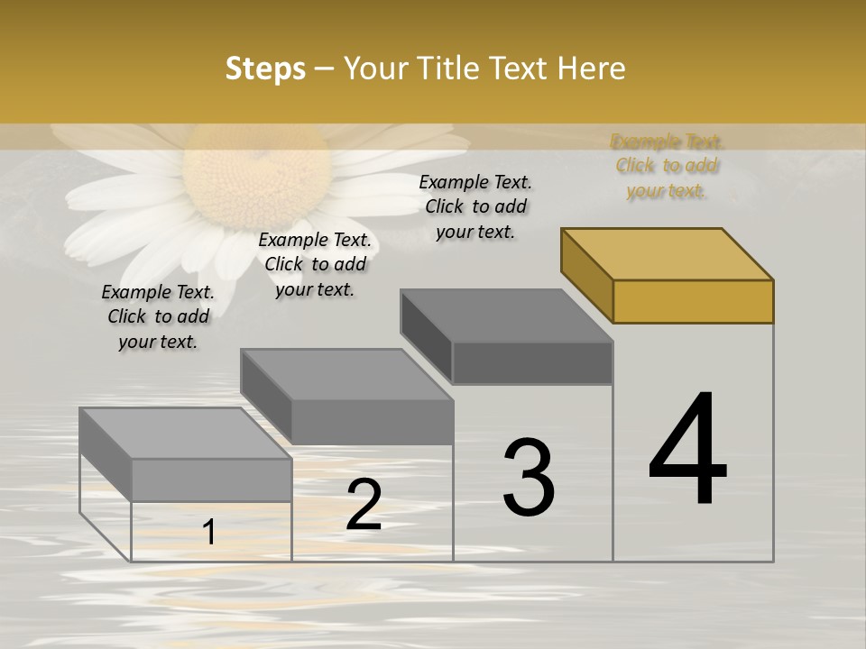 Daisy With Stones, Water Reflexion PowerPoint Template