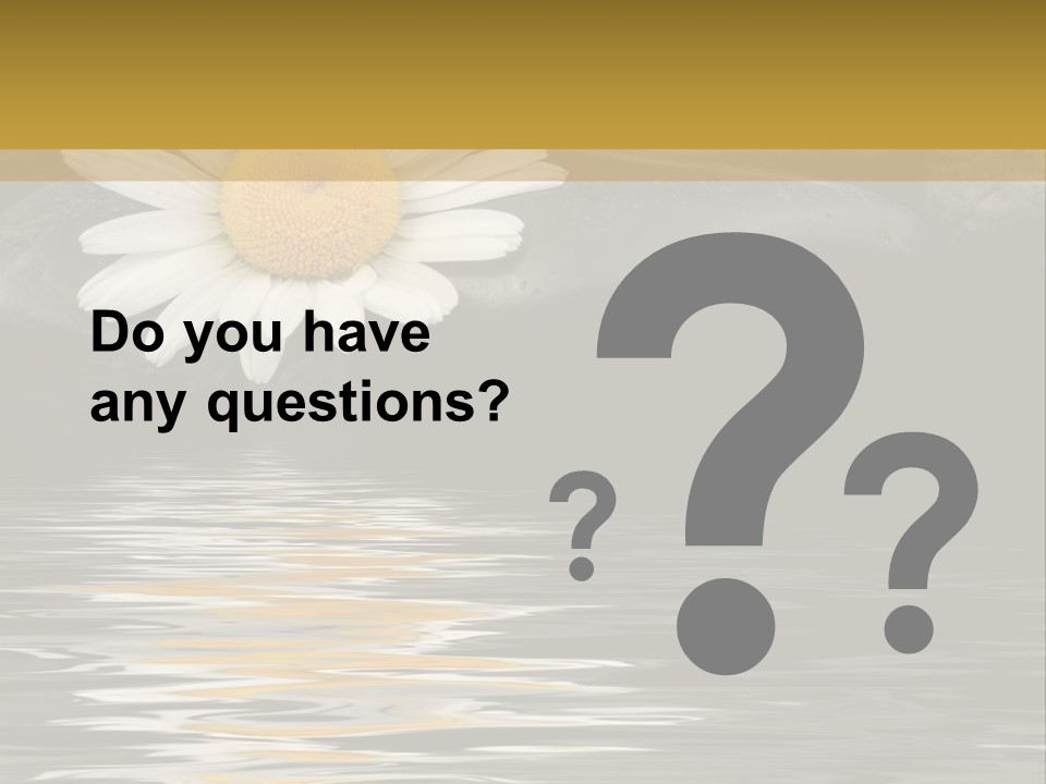 Daisy With Stones, Water Reflexion PowerPoint Template