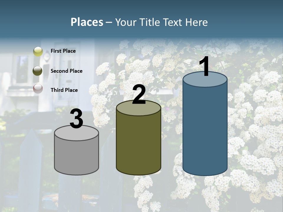 Blue Picket Fence With Flowering Bridal Wreath Shrub And Residential House PowerPoint Template