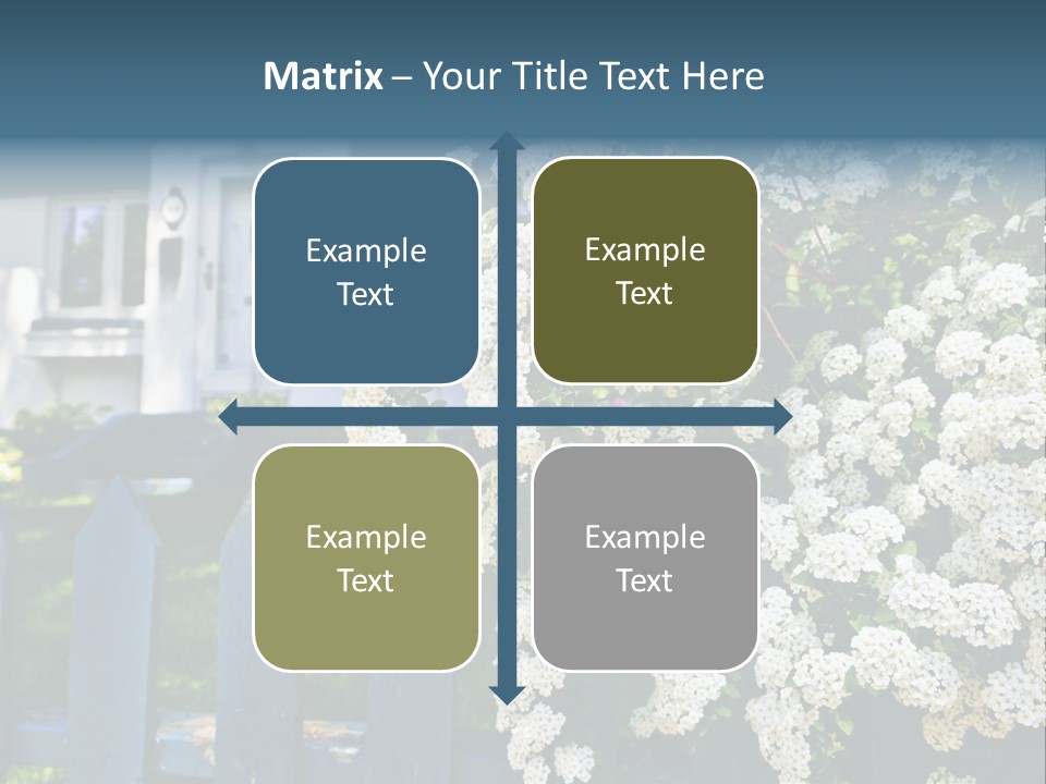 Blue Picket Fence With Flowering Bridal Wreath Shrub And Residential House PowerPoint Template