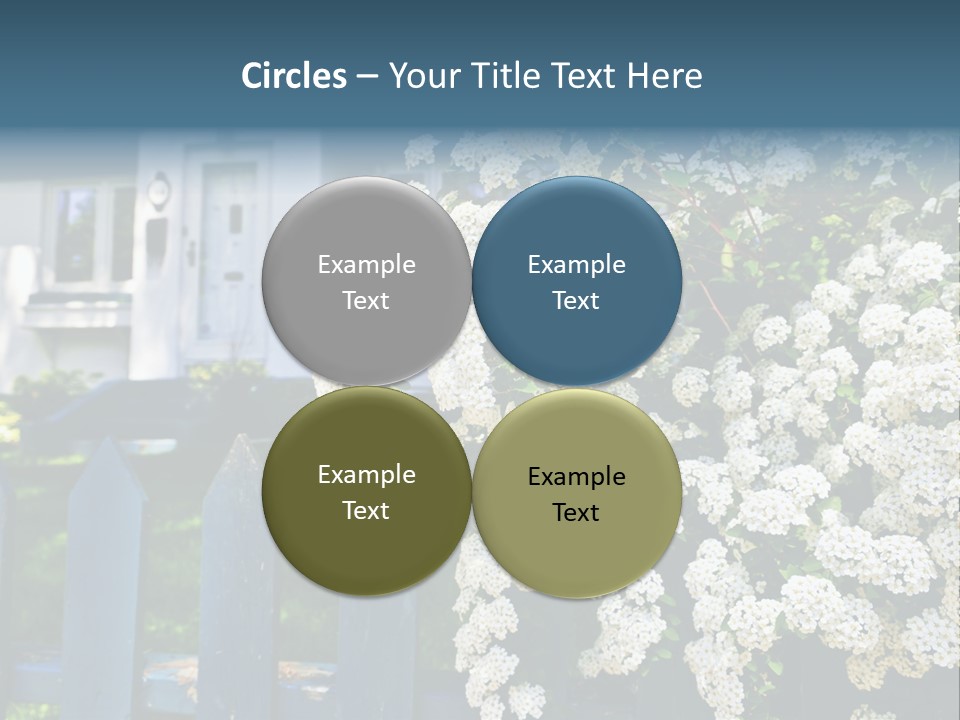 Blue Picket Fence With Flowering Bridal Wreath Shrub And Residential House PowerPoint Template