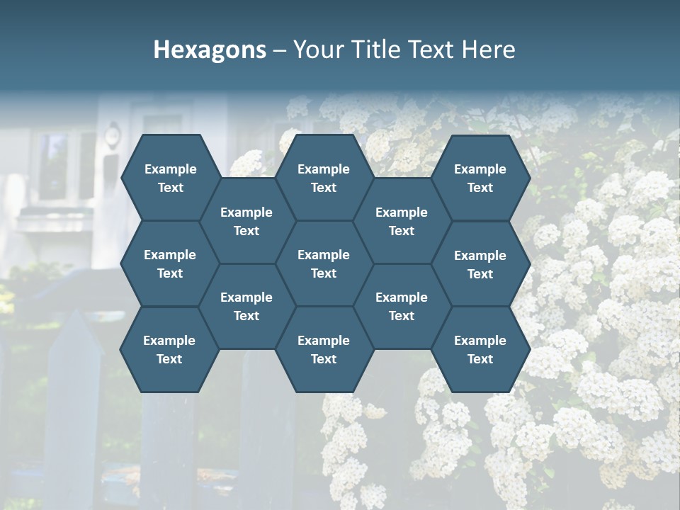 Blue Picket Fence With Flowering Bridal Wreath Shrub And Residential House PowerPoint Template