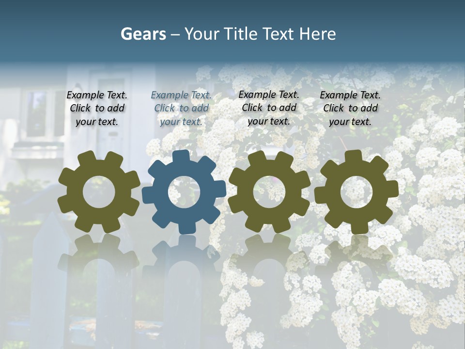 Blue Picket Fence With Flowering Bridal Wreath Shrub And Residential House PowerPoint Template