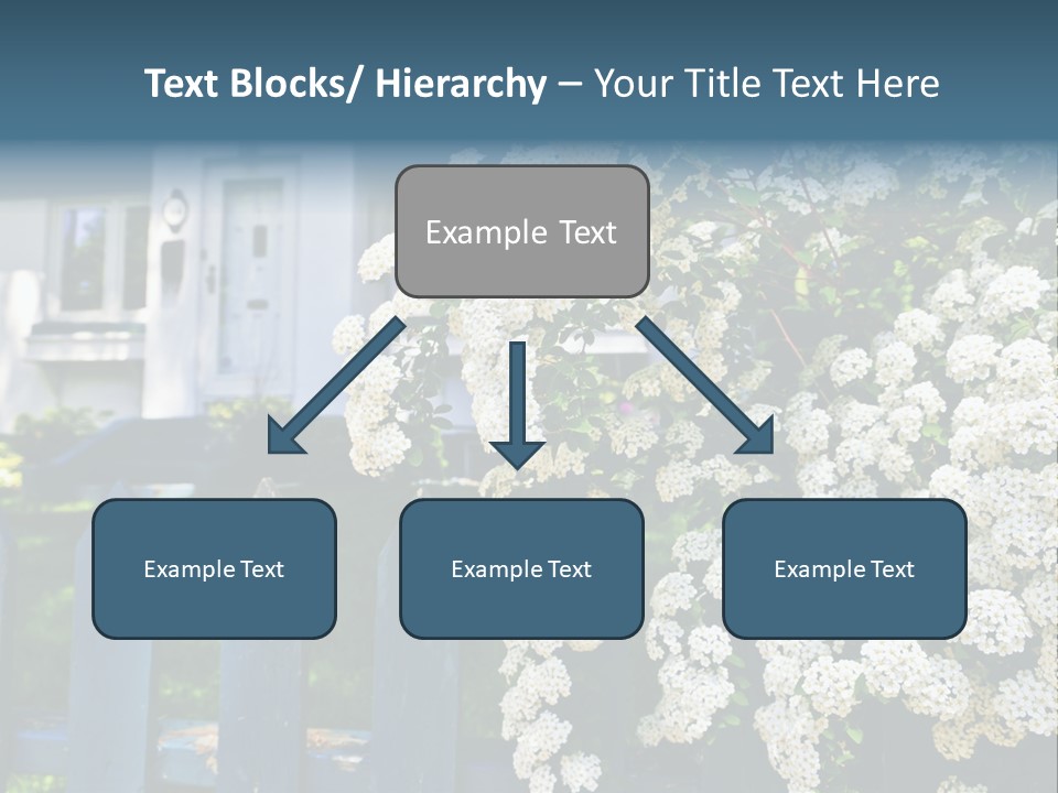 Blue Picket Fence With Flowering Bridal Wreath Shrub And Residential House PowerPoint Template