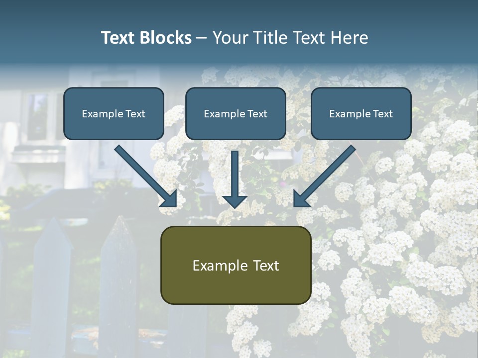 Blue Picket Fence With Flowering Bridal Wreath Shrub And Residential House PowerPoint Template