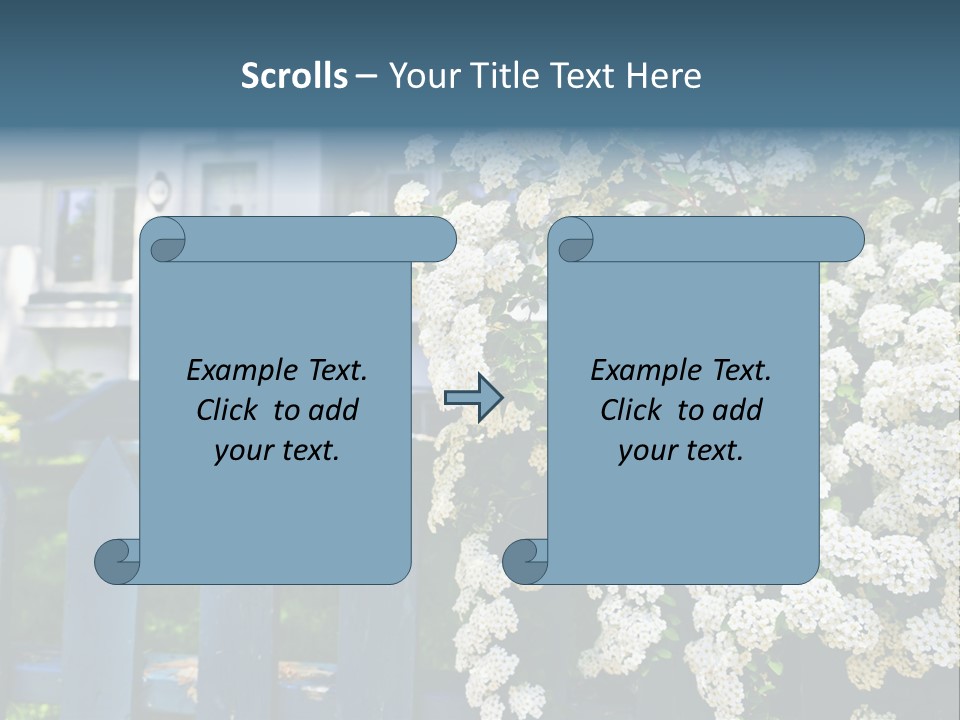 Blue Picket Fence With Flowering Bridal Wreath Shrub And Residential House PowerPoint Template
