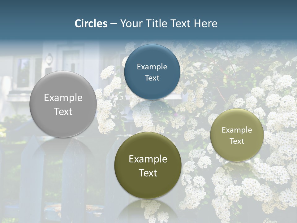 Blue Picket Fence With Flowering Bridal Wreath Shrub And Residential House PowerPoint Template