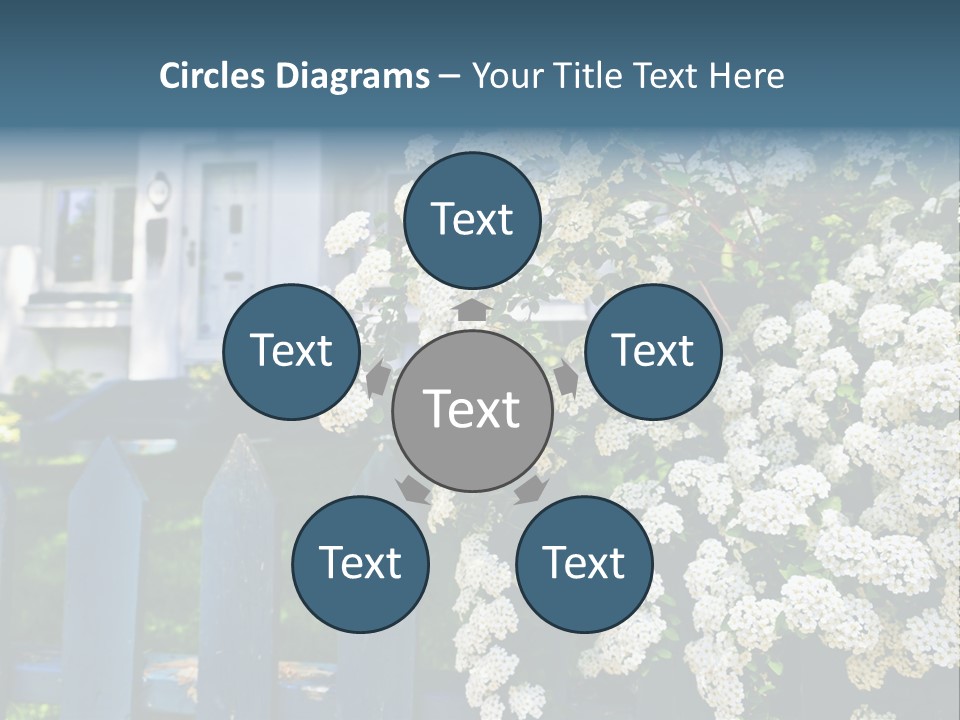 Blue Picket Fence With Flowering Bridal Wreath Shrub And Residential House PowerPoint Template