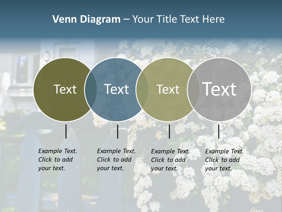 Blue Picket Fence With Flowering Bridal Wreath Shrub And Residential House PowerPoint Template