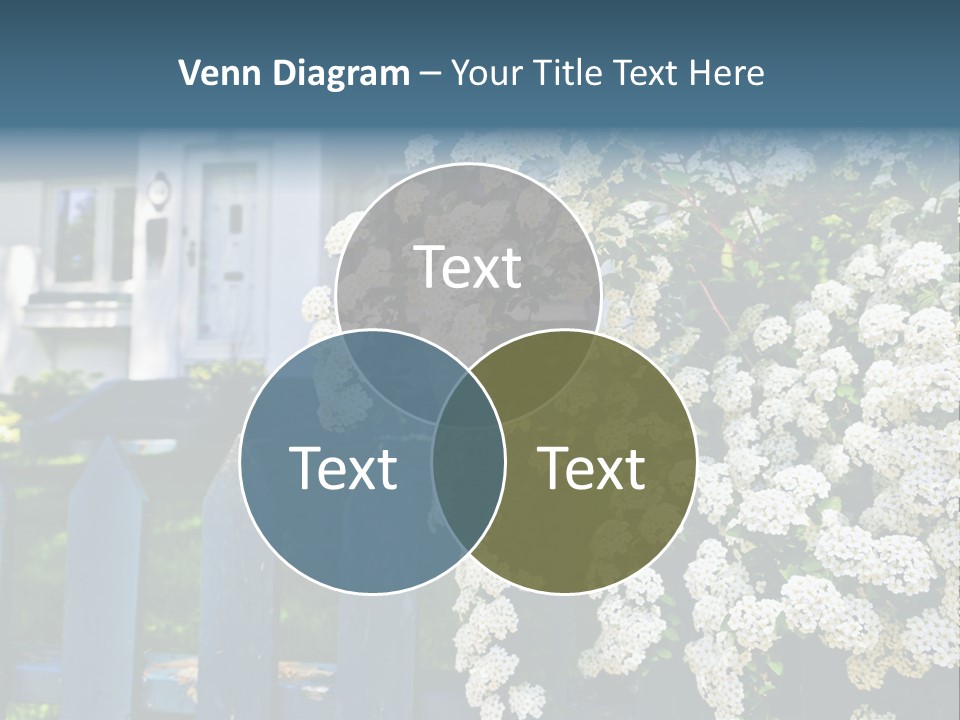 Blue Picket Fence With Flowering Bridal Wreath Shrub And Residential House PowerPoint Template