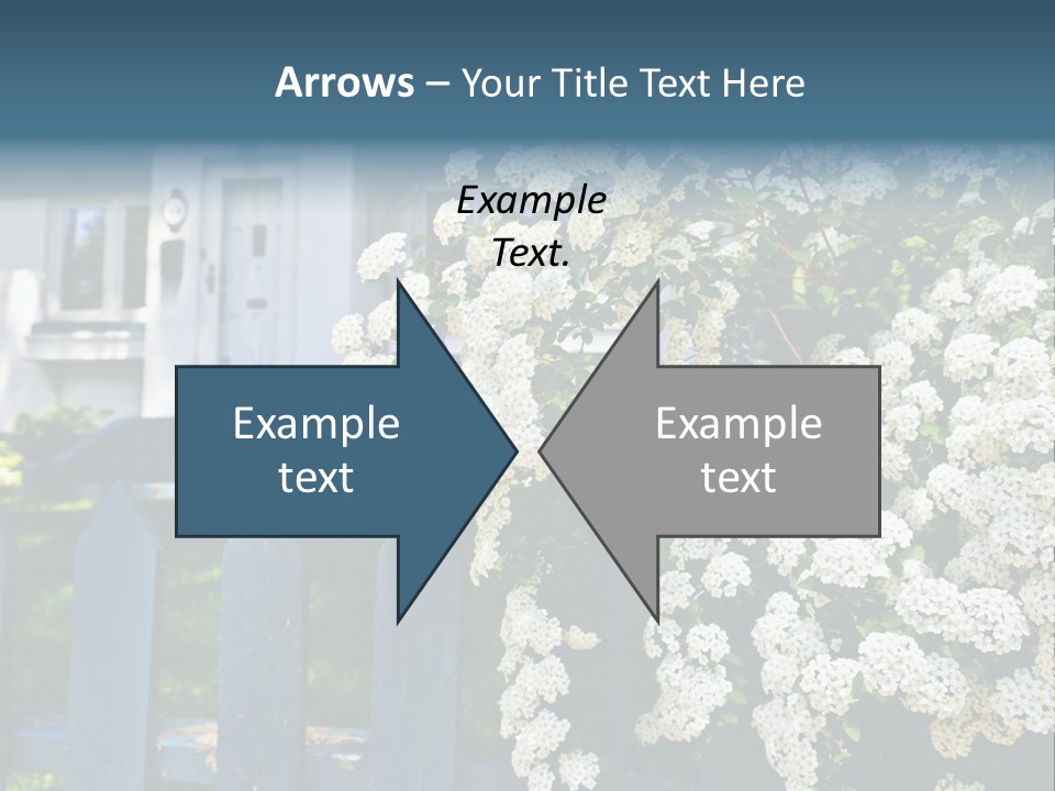 Blue Picket Fence With Flowering Bridal Wreath Shrub And Residential House PowerPoint Template