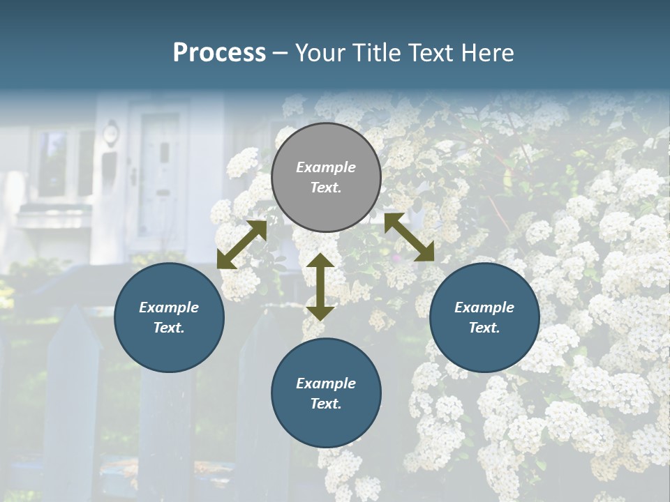 Blue Picket Fence With Flowering Bridal Wreath Shrub And Residential House PowerPoint Template