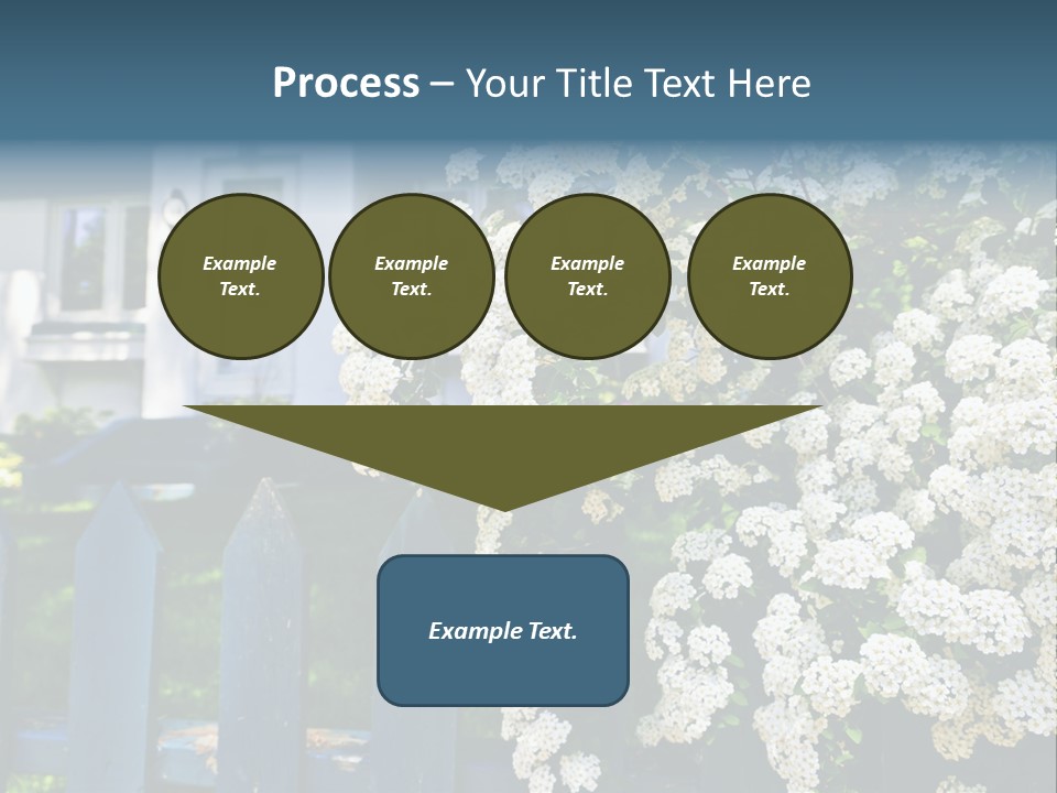 Blue Picket Fence With Flowering Bridal Wreath Shrub And Residential House PowerPoint Template