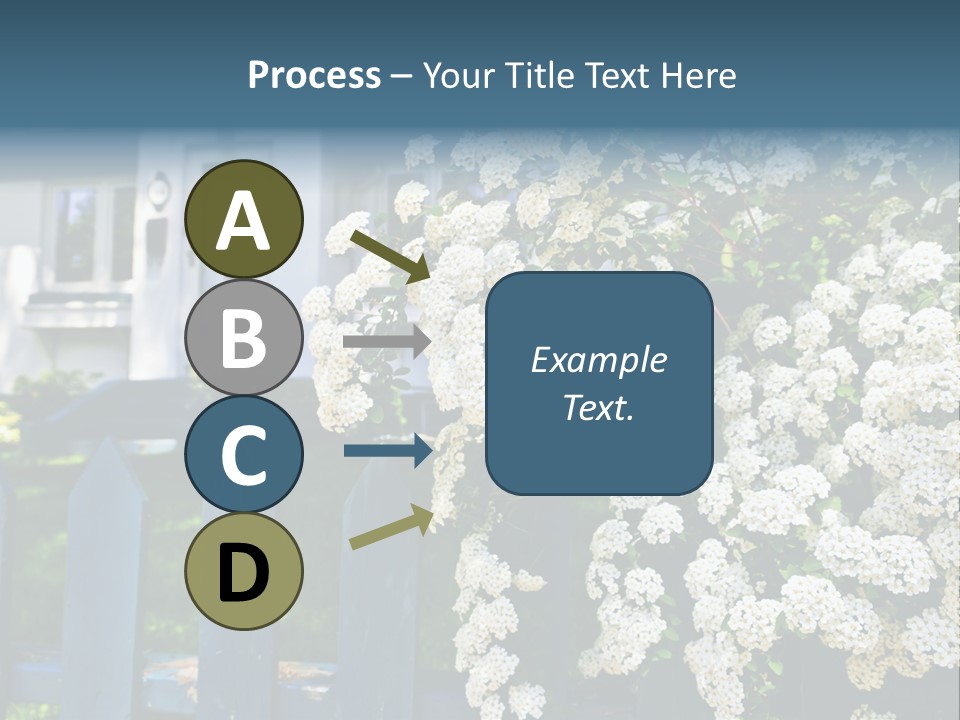 Blue Picket Fence With Flowering Bridal Wreath Shrub And Residential House PowerPoint Template