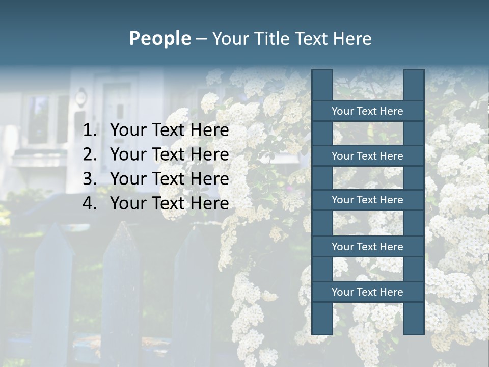Blue Picket Fence With Flowering Bridal Wreath Shrub And Residential House PowerPoint Template