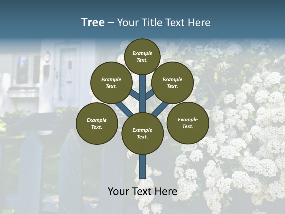 Blue Picket Fence With Flowering Bridal Wreath Shrub And Residential House PowerPoint Template