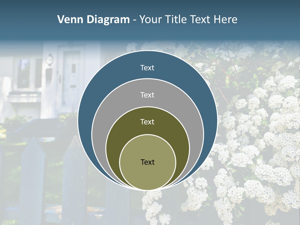 Blue Picket Fence With Flowering Bridal Wreath Shrub And Residential House PowerPoint Template