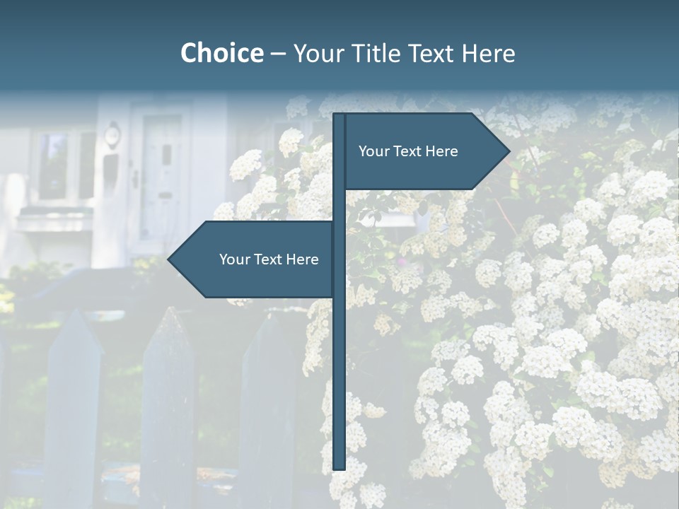 Blue Picket Fence With Flowering Bridal Wreath Shrub And Residential House PowerPoint Template