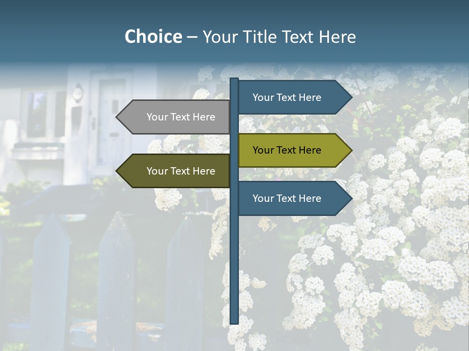 Blue Picket Fence With Flowering Bridal Wreath Shrub And Residential House PowerPoint Template