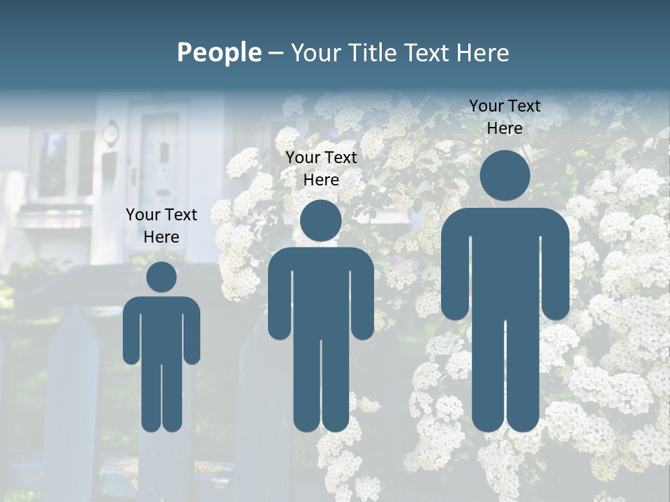 Blue Picket Fence With Flowering Bridal Wreath Shrub And Residential House PowerPoint Template