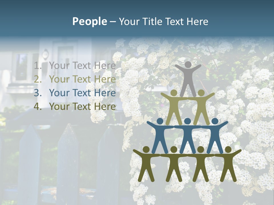 Blue Picket Fence With Flowering Bridal Wreath Shrub And Residential House PowerPoint Template