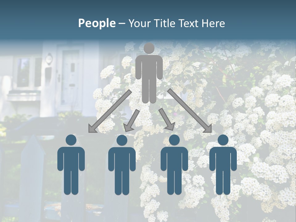 Blue Picket Fence With Flowering Bridal Wreath Shrub And Residential House PowerPoint Template