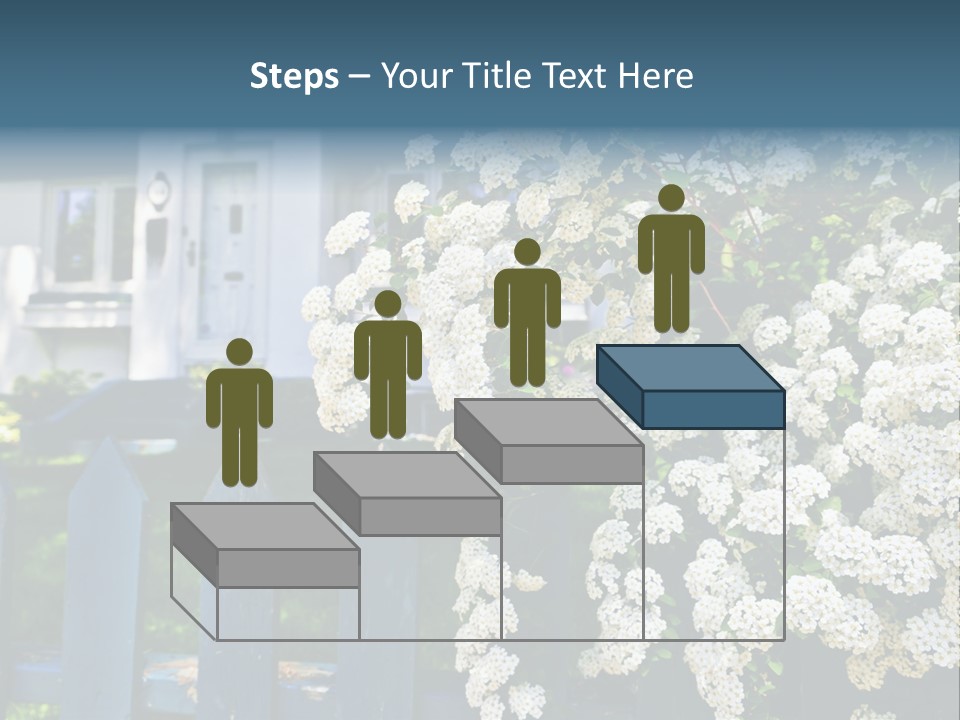 Blue Picket Fence With Flowering Bridal Wreath Shrub And Residential House PowerPoint Template