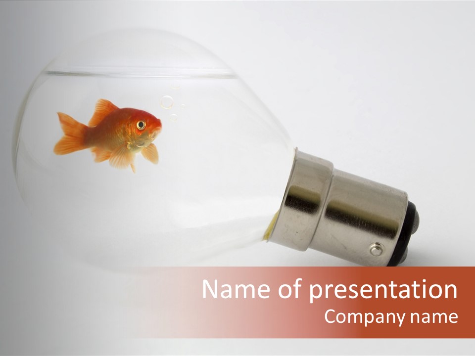 Goldfish Trapped Inside A Lightbulb Blowing Bubbles PowerPoint Template