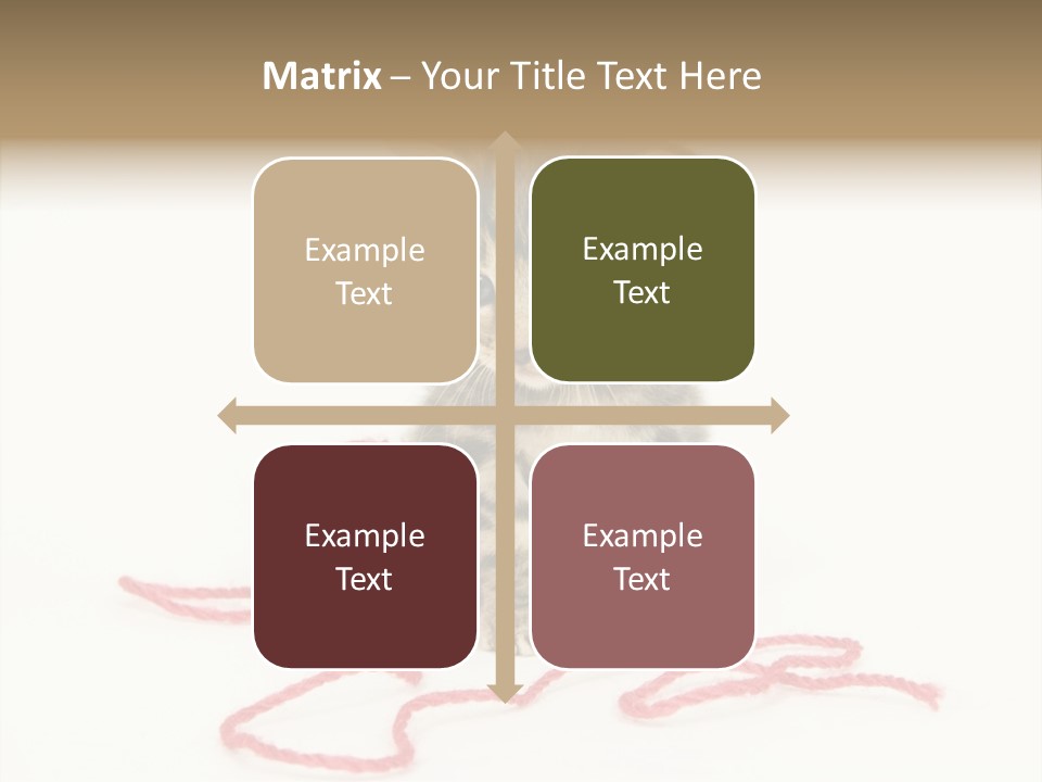 A Small Kitten Sits Next To A Ball Of Red Yarn On A White Background. These Kittens Are Being Raised On A Farm In Central Illinois PowerPoint Template