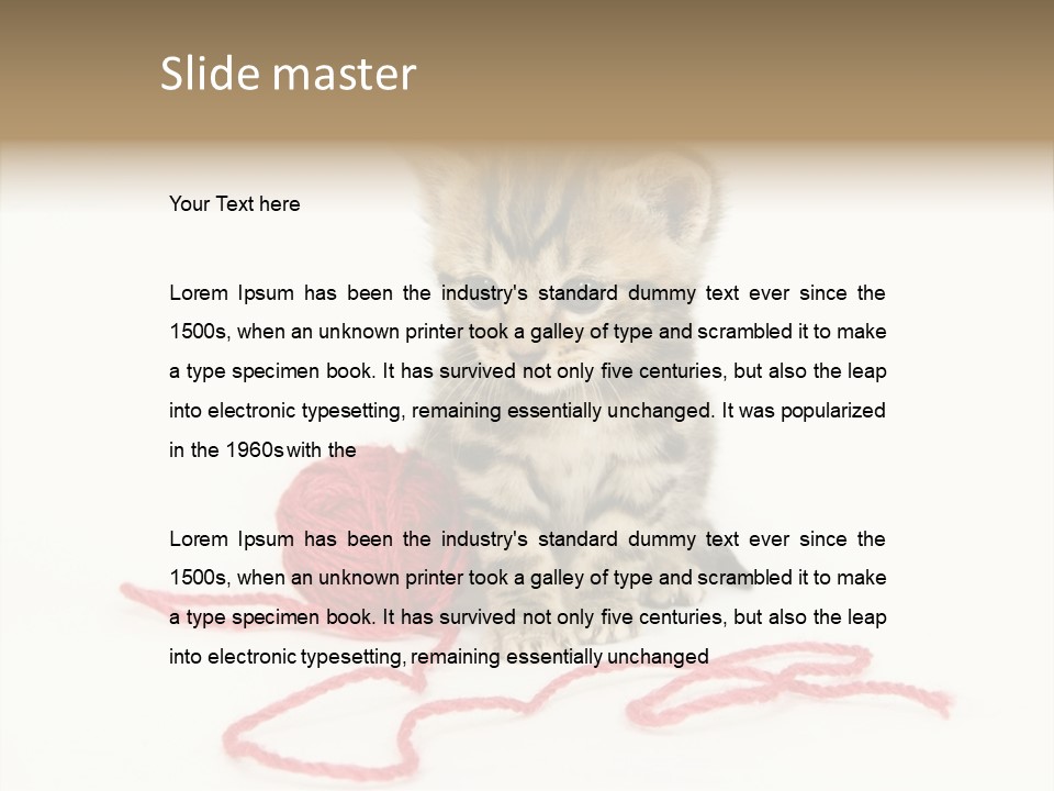 A Small Kitten Sits Next To A Ball Of Red Yarn On A White Background. These Kittens Are Being Raised On A Farm In Central Illinois PowerPoint Template