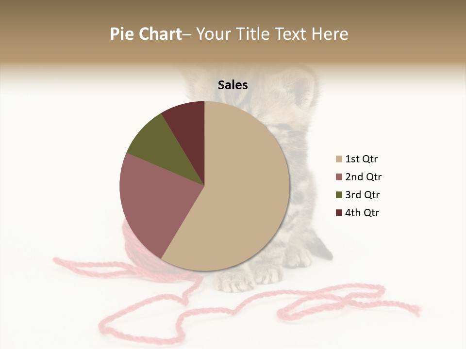 A Small Kitten Sits Next To A Ball Of Red Yarn On A White Background. These Kittens Are Being Raised On A Farm In Central Illinois PowerPoint Template