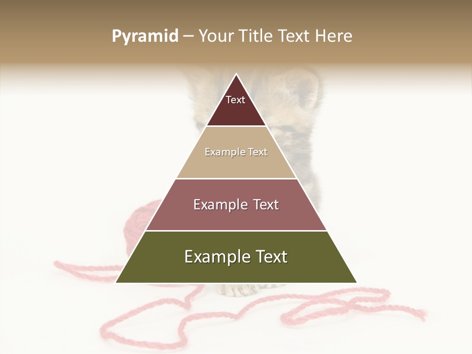 A Small Kitten Sits Next To A Ball Of Red Yarn On A White Background. These Kittens Are Being Raised On A Farm In Central Illinois PowerPoint Template