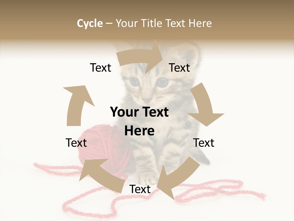 A Small Kitten Sits Next To A Ball Of Red Yarn On A White Background. These Kittens Are Being Raised On A Farm In Central Illinois PowerPoint Template