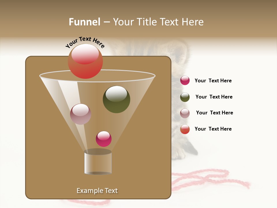 A Small Kitten Sits Next To A Ball Of Red Yarn On A White Background. These Kittens Are Being Raised On A Farm In Central Illinois PowerPoint Template