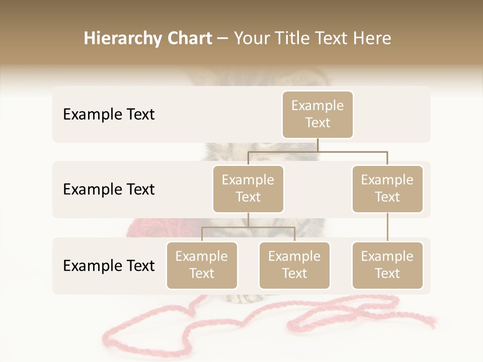 A Small Kitten Sits Next To A Ball Of Red Yarn On A White Background. These Kittens Are Being Raised On A Farm In Central Illinois PowerPoint Template
