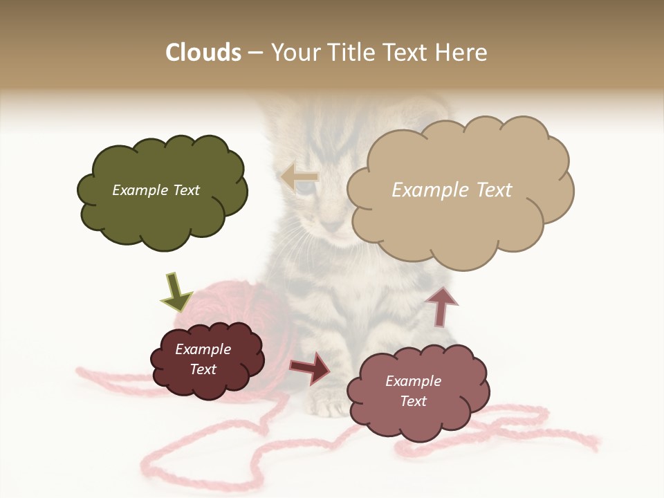 A Small Kitten Sits Next To A Ball Of Red Yarn On A White Background. These Kittens Are Being Raised On A Farm In Central Illinois PowerPoint Template