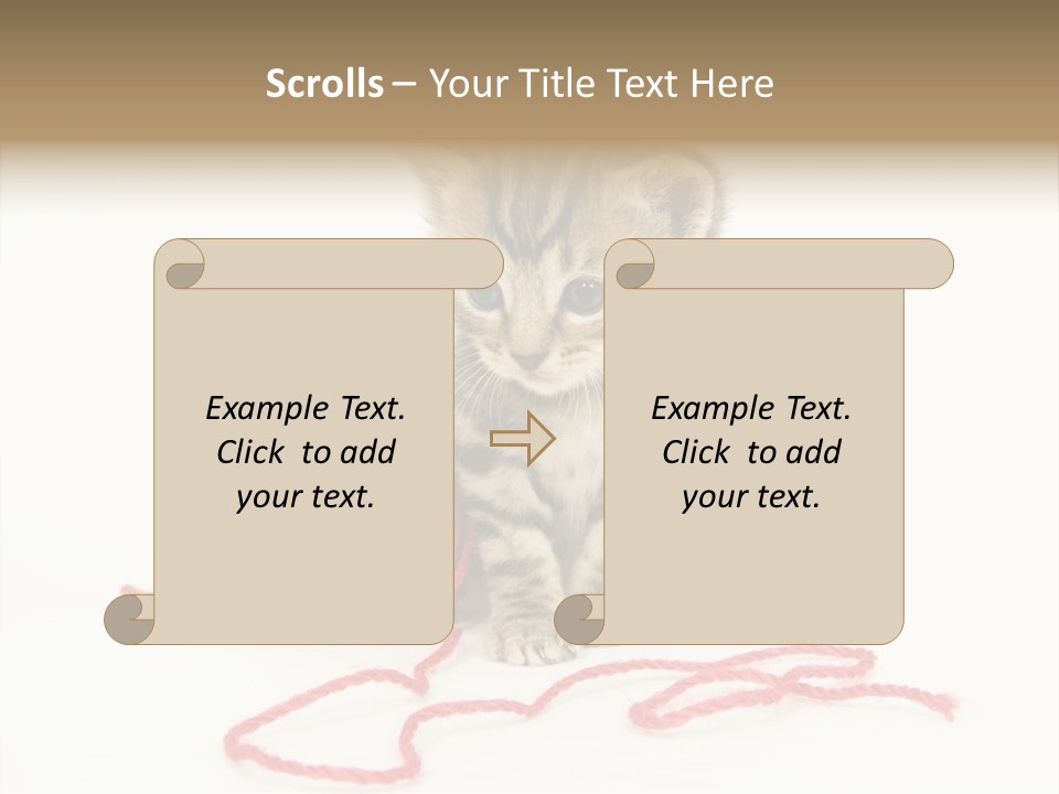 A Small Kitten Sits Next To A Ball Of Red Yarn On A White Background. These Kittens Are Being Raised On A Farm In Central Illinois PowerPoint Template