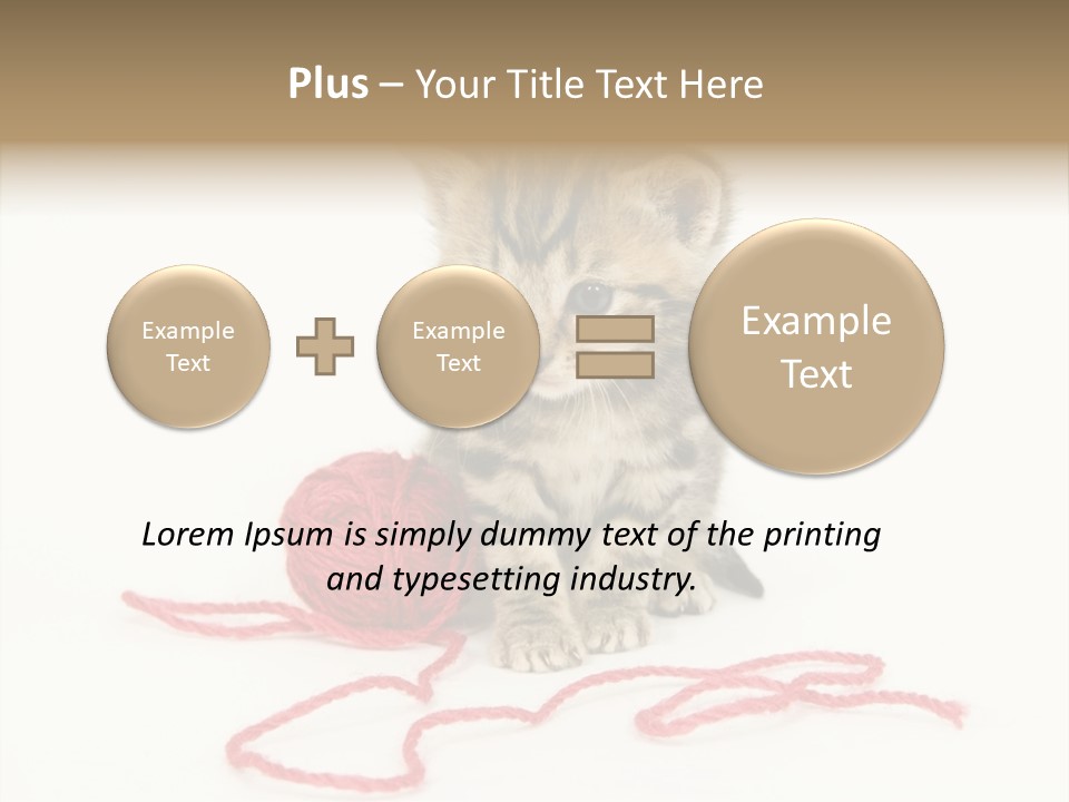 A Small Kitten Sits Next To A Ball Of Red Yarn On A White Background. These Kittens Are Being Raised On A Farm In Central Illinois PowerPoint Template