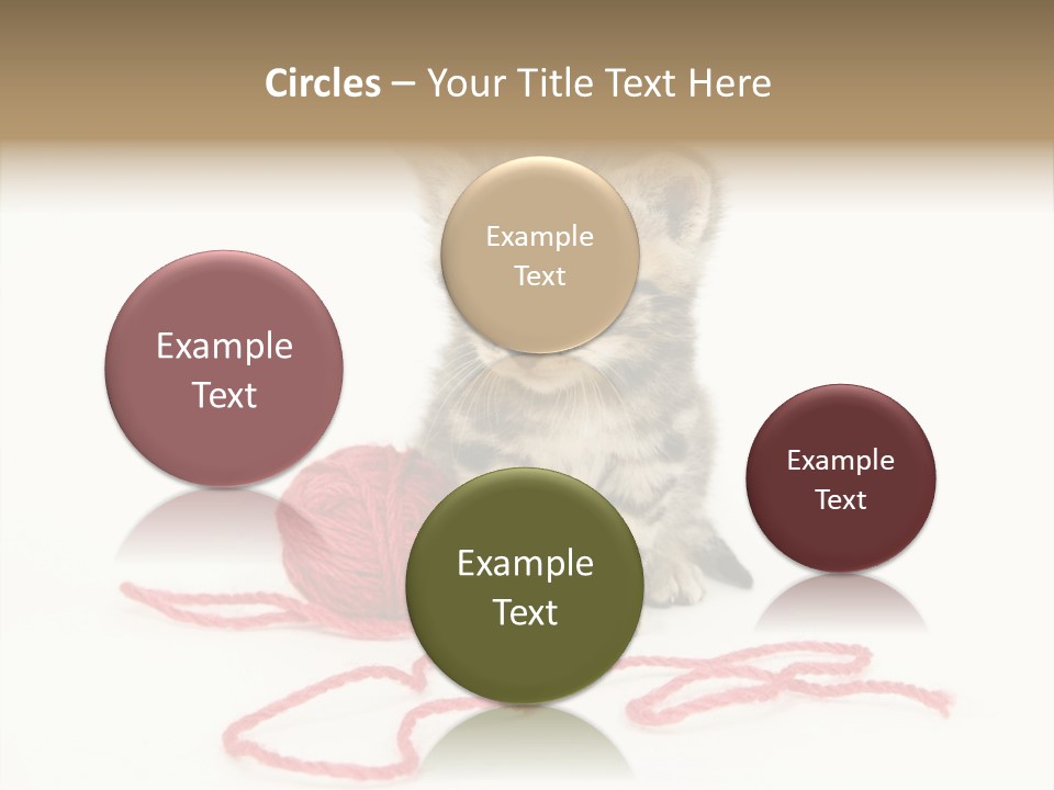 A Small Kitten Sits Next To A Ball Of Red Yarn On A White Background. These Kittens Are Being Raised On A Farm In Central Illinois PowerPoint Template