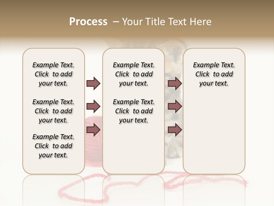A Small Kitten Sits Next To A Ball Of Red Yarn On A White Background. These Kittens Are Being Raised On A Farm In Central Illinois PowerPoint Template