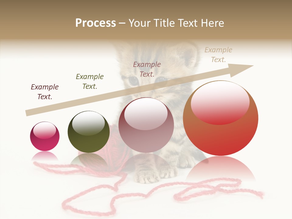 A Small Kitten Sits Next To A Ball Of Red Yarn On A White Background. These Kittens Are Being Raised On A Farm In Central Illinois PowerPoint Template