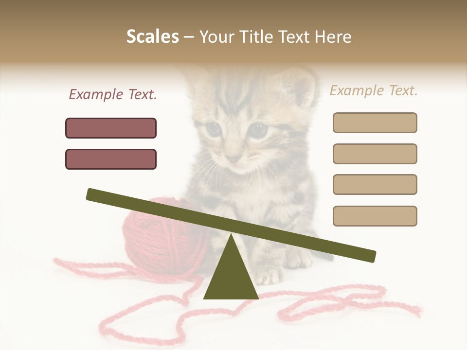 A Small Kitten Sits Next To A Ball Of Red Yarn On A White Background. These Kittens Are Being Raised On A Farm In Central Illinois PowerPoint Template