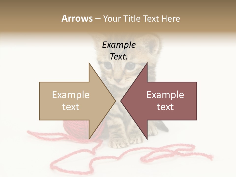 A Small Kitten Sits Next To A Ball Of Red Yarn On A White Background. These Kittens Are Being Raised On A Farm In Central Illinois PowerPoint Template