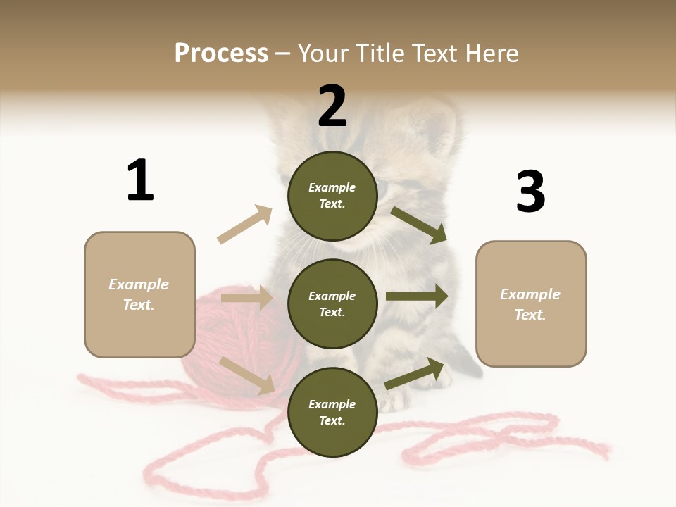 A Small Kitten Sits Next To A Ball Of Red Yarn On A White Background. These Kittens Are Being Raised On A Farm In Central Illinois PowerPoint Template