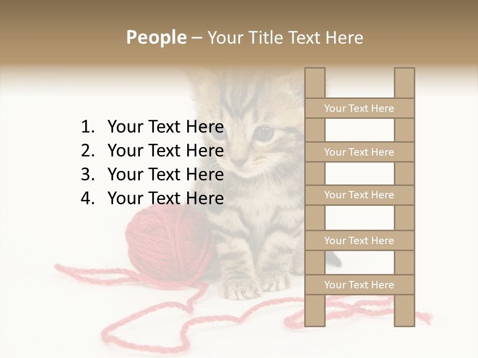 A Small Kitten Sits Next To A Ball Of Red Yarn On A White Background. These Kittens Are Being Raised On A Farm In Central Illinois PowerPoint Template