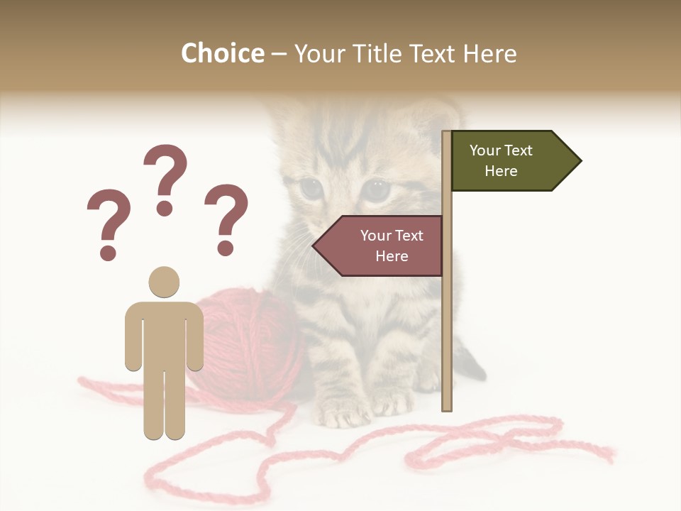 A Small Kitten Sits Next To A Ball Of Red Yarn On A White Background. These Kittens Are Being Raised On A Farm In Central Illinois PowerPoint Template